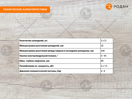 Сверлильноприсадочный станок WoodTec 21W PRO